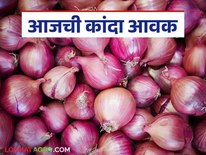 Kanda Market Update three lakh quintals of onion arrived in maharashtra see onion market | Kanda Market Update : राज्यात पावणे तीन लाख क्विंटल कांद्याची आवक, वाचा आजचे बाजारभाव Kanda Market Update three lakh quintals of onion arrived in maharashtra see onion market | Kanda Market Update : राज्यात पावणे तीन लाख क्विंटल कांद्याची आवक, वाचा आजचे बाजारभाव