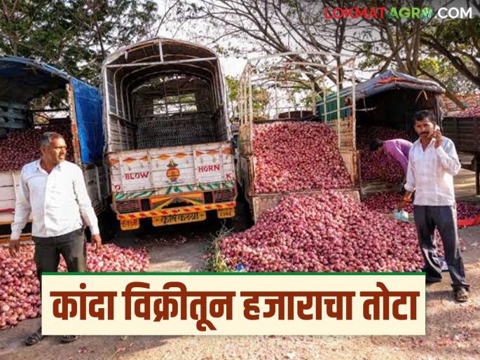Latest News Kanda Bajar Bhav Farmers lose at least thousand rupees from onion sales, see details | Kanda Bajar Bhav : शेतकऱ्यांना कांदा विक्रीतून किमान हजार रुपयांचा तोटा, काय आहे कारण? Latest News Kanda Bajar Bhav Farmers lose at least thousand rupees from onion sales, see details | Kanda Bajar Bhav : शेतकऱ्यांना कांदा विक्रीतून किमान हजार रुपयांचा तोटा, काय आहे कारण?
