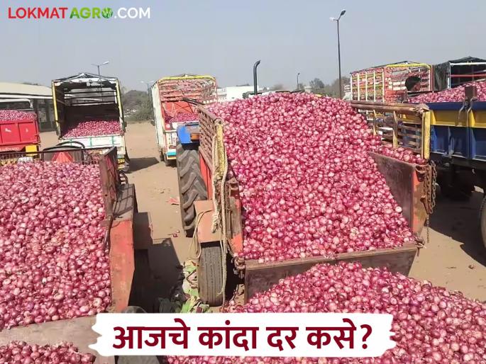 Latest News kanda market Read in detail what price onion got in Solapur, Nagpur and Nashik kanda market | Kanda Market : सोलापूर, नागपूरसह नाशिकमध्ये कांद्याला काय दर मिळाला, वाचा सविस्तर Latest News kanda market Read in detail what price onion got in Solapur, Nagpur and Nashik kanda market | Kanda Market : सोलापूर, नागपूरसह नाशिकमध्ये कांद्याला काय दर मिळाला, वाचा सविस्तर