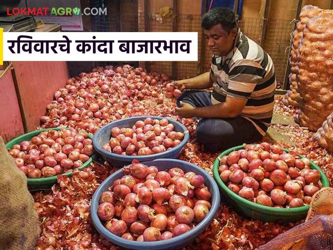 Latest News Kanda Market see Unhal onion price per quintal in Ahilyanagar see todays kanda bajarbhav | Kanda Market : अहिल्यानगर बाजारात उन्हाळ कांद्याला 'इतक्या' रुपयांचा दर, वाचा आजचे बाजारभाव Latest News Kanda Market see Unhal onion price per quintal in Ahilyanagar see todays kanda bajarbhav | Kanda Market : अहिल्यानगर बाजारात उन्हाळ कांद्याला 'इतक्या' रुपयांचा दर, वाचा आजचे बाजारभाव