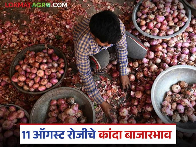 Latest news Kanda Market onion prices today on August 11 in nashik district with maharashtra | Kanda Market : तिसऱ्या श्रावणी सोमवारी नाशिकच्या कांद्याला काय भाव मिळाले? वाचा सविस्तर Latest news Kanda Market onion prices today on August 11 in nashik district with maharashtra | Kanda Market : तिसऱ्या श्रावणी सोमवारी नाशिकच्या कांद्याला काय भाव मिळाले? वाचा सविस्तर