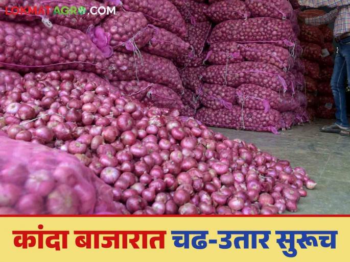 Latest News Kanda Bajarbhav see todays Kanda market in Lasalgaon, Solapur markets Read in detail | Kanda Market Update : कांदा दरात पुन्हा घसरण, लासलगाव, सोलापूर बाजारात काय भाव? वाचा सविस्तर Latest News Kanda Bajarbhav see todays Kanda market in Lasalgaon, Solapur markets Read in detail | Kanda Market Update : कांदा दरात पुन्हा घसरण, लासलगाव, सोलापूर बाजारात काय भाव? वाचा सविस्तर