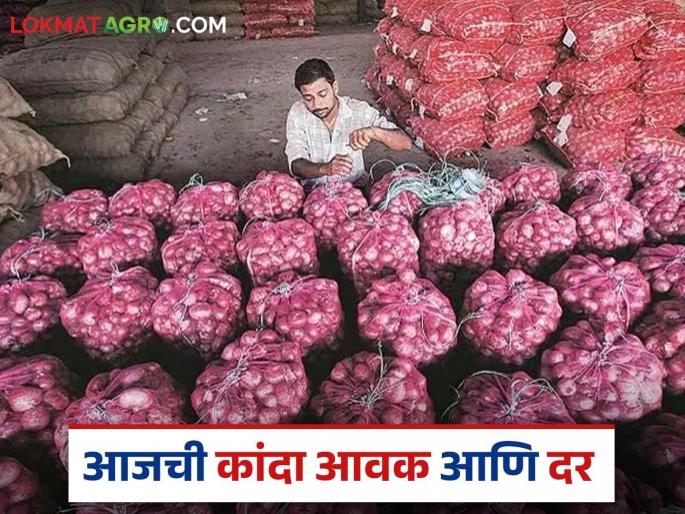 latest News Kanda Bajar Bhav Ahilyanagar, Nashik district Unhal Kanda arrival increased | Kanda Market : अहिल्यानगर, नाशिक जिल्ह्यात उन्हाळ कांदा आवक वाढली, काय दर मिळतोय? latest News Kanda Bajar Bhav Ahilyanagar, Nashik district Unhal Kanda arrival increased | Kanda Market : अहिल्यानगर, नाशिक जिल्ह्यात उन्हाळ कांदा आवक वाढली, काय दर मिळतोय?