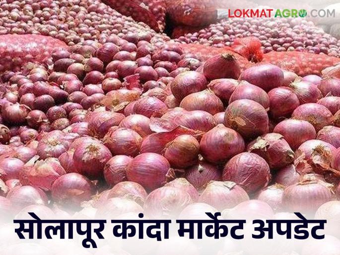 Latest News Kanda Market Update Red onion prices highest in Dhule market than Solapur see kanda bajarbhav | Kanda Market Update : सोलापूरपेक्षा धुळे बाजारात लाल कांद्याला सर्वाधिक भाव, वाचा आजचे बाजारभाव Latest News Kanda Market Update Red onion prices highest in Dhule market than Solapur see kanda bajarbhav | Kanda Market Update : सोलापूरपेक्षा धुळे बाजारात लाल कांद्याला सर्वाधिक भाव, वाचा आजचे बाजारभाव