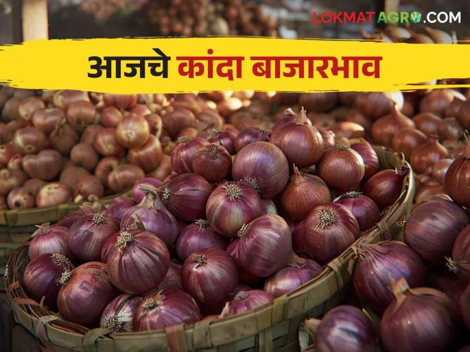Kanda Bajarbhav How much onion arrived in Nashik district see todays market price | Kanda Bajarbhav : नाशिक जिल्ह्यात कांद्याची किती आवक झाली? वाचा आजचे बाजारभाव Kanda Bajarbhav How much onion arrived in Nashik district see todays market price | Kanda Bajarbhav : नाशिक जिल्ह्यात कांद्याची किती आवक झाली? वाचा आजचे बाजारभाव