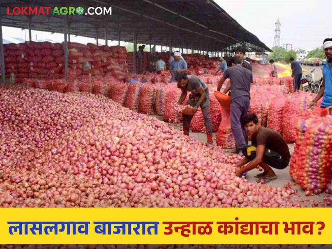 Latest News Kanda Bajarbhavtoday 4 September onion market price in Nashik and Ahmednagar market see details | Kanda Bajarbhav : नाशिक आणि अहमदनगर मार्केटला कांदा बाजारभावात फरक किती? वाचा आजचे बाजारभाव Latest News Kanda Bajarbhavtoday 4 September onion market price in Nashik and Ahmednagar market see details | Kanda Bajarbhav : नाशिक आणि अहमदनगर मार्केटला कांदा बाजारभावात फरक किती? वाचा आजचे बाजारभाव