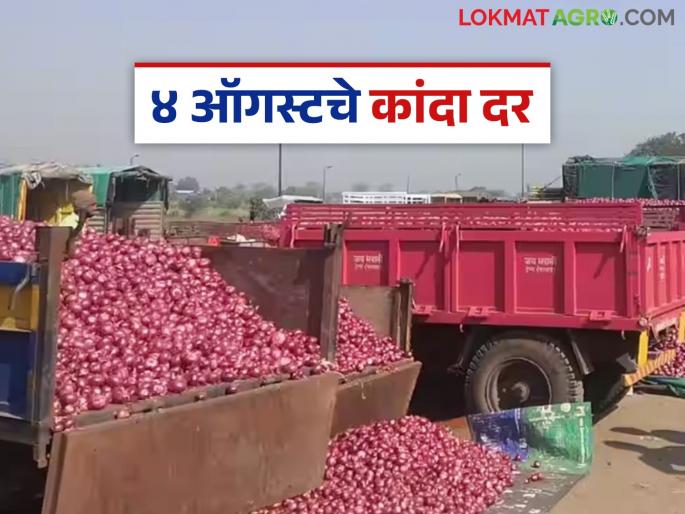 Latest News Kanda market Onion market prices in maharashtra today 4th august read in detail | Kanda Market : आज सोमवारी राज्यातील बाजारात कांदा बाजार भाव असे आहेत, वाचा सविस्तर Latest News Kanda market Onion market prices in maharashtra today 4th august read in detail | Kanda Market : आज सोमवारी राज्यातील बाजारात कांदा बाजार भाव असे आहेत, वाचा सविस्तर