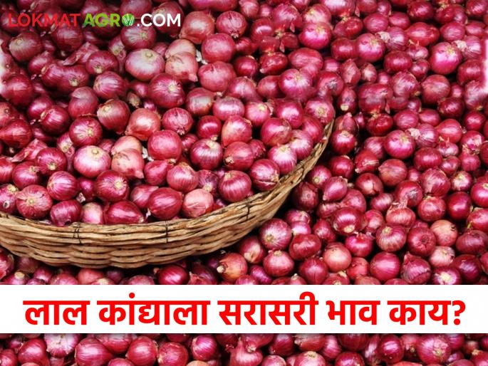Onion Market: Summer onion fell, where did you get the price today? Read in detail | Onion Market : उन्हाळ कांदा घसरला, आज कुठे काय भाव मिळाला? वाचा सविस्तर Onion Market: Summer onion fell, where did you get the price today? Read in detail | Onion Market : उन्हाळ कांदा घसरला, आज कुठे काय भाव मिळाला? वाचा सविस्तर
