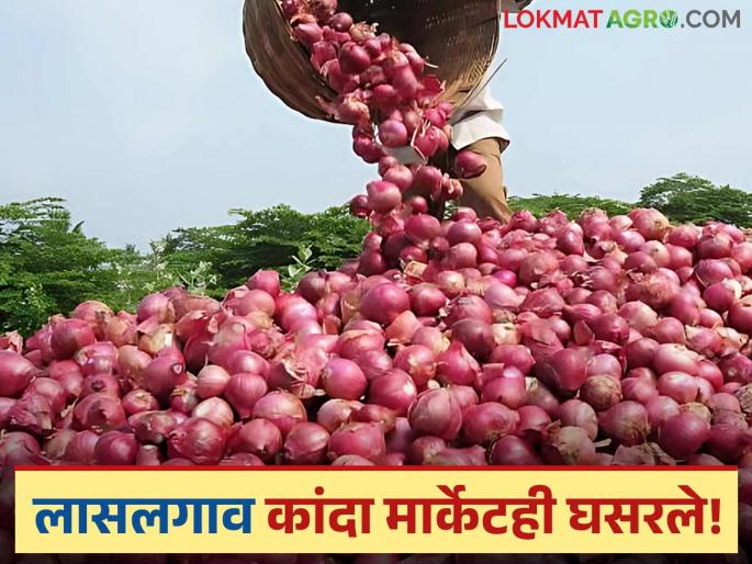 Latest news Kanda bajar Bhav Red onion is priced at Rs 1,000 per quintal in Lasalgaon market | Kanda Bajar Bhav : कांदा निर्यातशुल्क हटवून दहा दिवस उलटले, बाजारभाव हजारच्या खाली आले! Latest news Kanda bajar Bhav Red onion is priced at Rs 1,000 per quintal in Lasalgaon market | Kanda Bajar Bhav : कांदा निर्यातशुल्क हटवून दहा दिवस उलटले, बाजारभाव हजारच्या खाली आले!