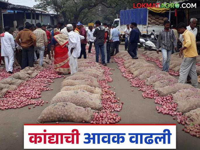 Kanda Market Satara : Summer onion arrivals increased in Satara Market Committee; How is the price per quintal being obtained? | Kanda Market Satara : सातारा बाजार समितीत उन्हाळी कांद्याची आवक वाढली; क्विंटलमागे कसा मिळतोय दर? Kanda Market Satara : Summer onion arrivals increased in Satara Market Committee; How is the price per quintal being obtained? | Kanda Market Satara : सातारा बाजार समितीत उन्हाळी कांद्याची आवक वाढली; क्विंटलमागे कसा मिळतोय दर?