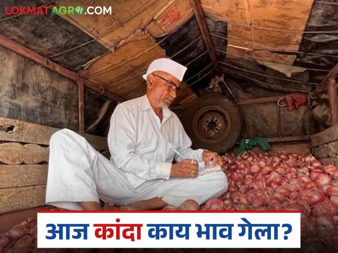 Latest news Kanda Market Lal kanda prices improved in Nagpur district including Dharashiv | Kanda Market : 'या' जिल्ह्यांत लाल कांदा दर सुधारले, पुण्यात काय मिळतोय दर?