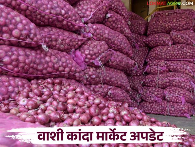 Arrival of fresh onions increased in Navi Mumbai Market Committee; How did the price get in the last fifteen days? | नवी मुंबई बाजार समितीत नव्या कांद्याची आवक वाढली; मागील पंधरा दिवसांत कसा राहीला दर Arrival of fresh onions increased in Navi Mumbai Market Committee; How did the price get in the last fifteen days? | नवी मुंबई बाजार समितीत नव्या कांद्याची आवक वाढली; मागील पंधरा दिवसांत कसा राहीला दर