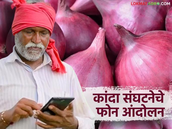 Latest news kanda Rate Issue Onion prices fall, organization launches statewide phone call protest | Kanda Market : कांदा संघटना आक्रमक, राज्यव्यापी फोन आंदोलनातून मंत्र्यांना जाब विचारणार  Latest news kanda Rate Issue Onion prices fall, organization launches statewide phone call protest | Kanda Market : कांदा संघटना आक्रमक, राज्यव्यापी फोन आंदोलनातून मंत्र्यांना जाब विचारणार