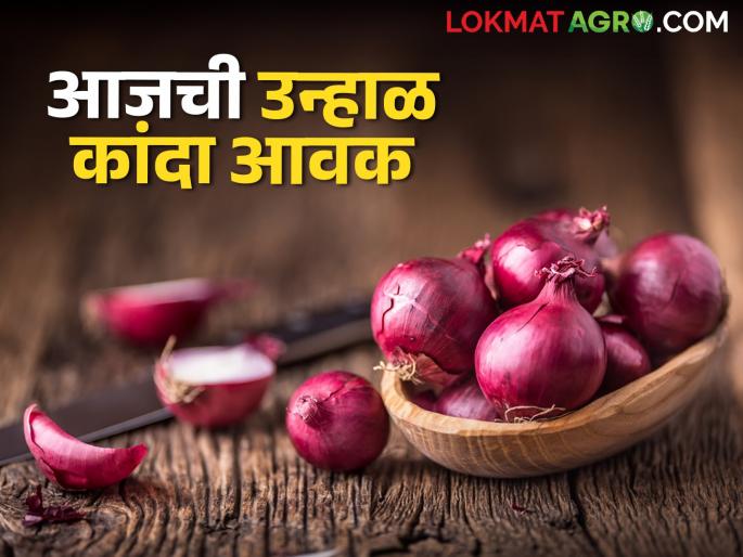 Kanda Bajarbhav Today's detailed market price of red onion in Nagpur market see details | Kanda Bajarbhav : नागपूर बाजारात लाल कांद्याचा दर टिकून, आजचे सविस्तर बाजारभाव Kanda Bajarbhav Today's detailed market price of red onion in Nagpur market see details | Kanda Bajarbhav : नागपूर बाजारात लाल कांद्याचा दर टिकून, आजचे सविस्तर बाजारभाव