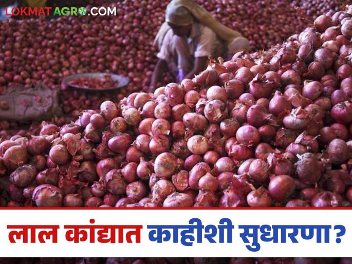 Latest News Kanda Market Update Red onion prices in Nagpur market and maharashtra see kanda bajarbhav | Kanda Market : नागपूर बाजारात लाल कांद्याला दिलासादायक दर, वाचा आजचे बाजारभाव Latest News Kanda Market Update Red onion prices in Nagpur market and maharashtra see kanda bajarbhav | Kanda Market : नागपूर बाजारात लाल कांद्याला दिलासादायक दर, वाचा आजचे बाजारभाव