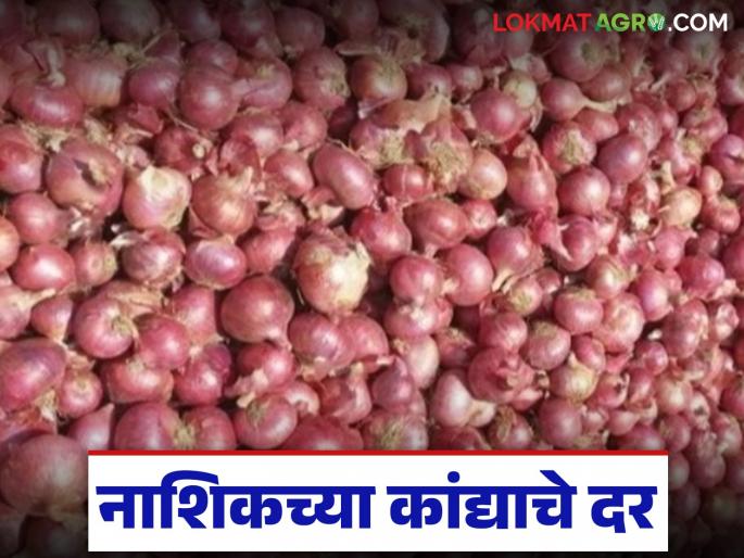 Latest News Nashik Kanda Market What price is Nashik onion getting in domestic market Read in detail | Nashik Kanda Market : देशांतर्गत मार्केटमध्ये नाशिकच्या कांद्याला काय दर मिळतोय? वाचा सविस्तर 
