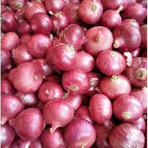  Increase in onion of red onion | लाल कांद्याच्या आवकेत वाढ