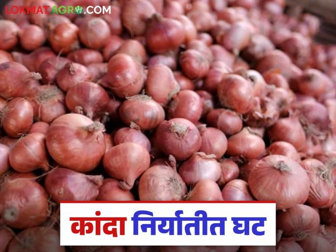 Latest News Kanda Niryat Onion exports down by 20 percent this year compared to last year see details | Kanda Niryat : मागील वर्षापेक्षा यंदा कांदा निर्यातीमध्ये 'इतकी' घट झाली? वाचा सविस्तर 