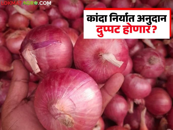 Important meeting of the state government regarding onion export subsidy; What was the decision? Read in detail | कांदा निर्यात अनुदान संदर्भात राज्य सरकारची महत्वाची बैठक; काय झाला निर्णय? वाचा सविस्तर