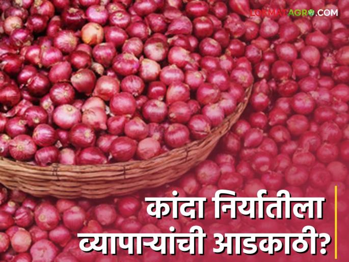 Latest News Obstacles of traders to onion export says Radhakrishna Vikhe Patil | Onion Issue : कांदा व्यापाऱ्यांनीच शेतकऱ्यांना वेठीस धरलंय : राधाकृष्ण विखे पाटील Latest News Obstacles of traders to onion export says Radhakrishna Vikhe Patil | Onion Issue : कांदा व्यापाऱ्यांनीच शेतकऱ्यांना वेठीस धरलंय : राधाकृष्ण विखे पाटील