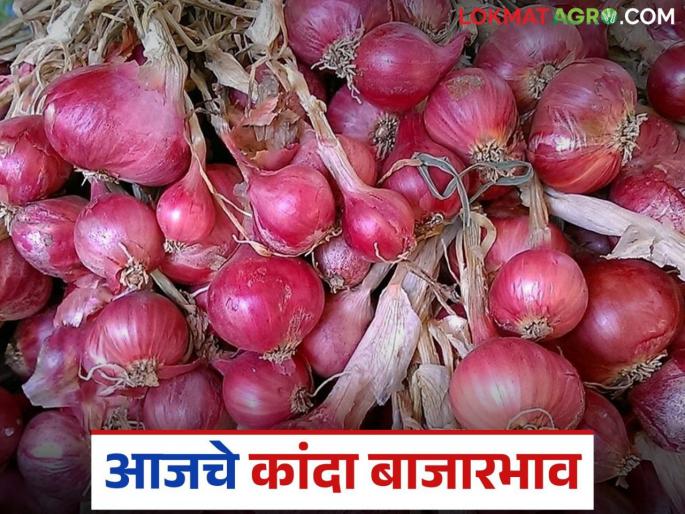 Latest News Kanda Market todays 13 august onion market in lasalgaon and othe markets | Kanda Market : लासलगावसह राज्यातील कांदा बाजारात काहीशी सुधारणा, काय दर मिळाले?