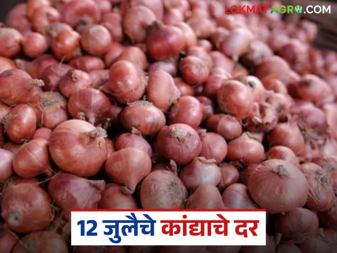 latest News Kanda market Todays unhal kanda market price in lasalgaon and see nafed onion price | Kanda Market : लासलगाव कांदा मार्केटला काय दर मिळाला, आजचा नाफेडचा भाव किती? 