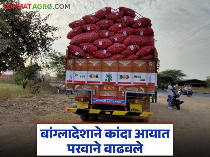 Latest News Bangladesh increases onion import licenses, exports will quadruple, how was kanda market | बांग्लादेशाने कांदा आयात परवाने वाढवले, चौपट निर्यात होणार, भाव कसे राहतील? Latest News Bangladesh increases onion import licenses, exports will quadruple, how was kanda market | बांग्लादेशाने कांदा आयात परवाने वाढवले, चौपट निर्यात होणार, भाव कसे राहतील?