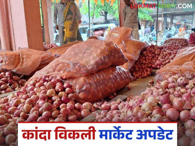 Latest News Kanda Bajarbhav Onion price drops by 3 percent per quintal, read Details | Kanda Weekly Market : कांद्याच्या किंमतीत क्विंटलमागे 3 टक्क्यांची घट, वाचा साप्ताहिक बाजारभाव  Latest News Kanda Bajarbhav Onion price drops by 3 percent per quintal, read Details | Kanda Weekly Market : कांद्याच्या किंमतीत क्विंटलमागे 3 टक्क्यांची घट, वाचा साप्ताहिक बाजारभाव