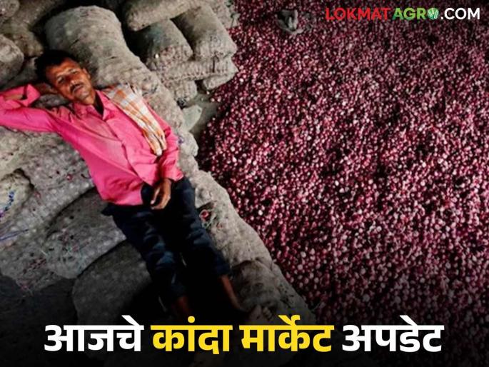 Latest News Kanda Bajar Bhav Todays Number One Onion price down in pune see details | Kanda Bajar Bhav : पुण्यात नंबर एकचा कांदाही बॅकफूटवर, काय मिळाला दर? वाचा सविस्तर