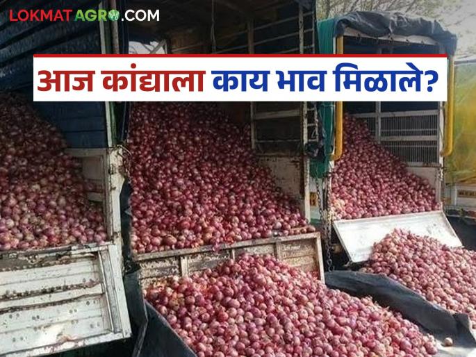 Latest News kanda Market Onion Market rate down on 29th august see details | Kanda Market : राज्यातील 'या' कांदा मार्केटला दर कमालीचे घसरले, वाचा आजचे बाजार भाव