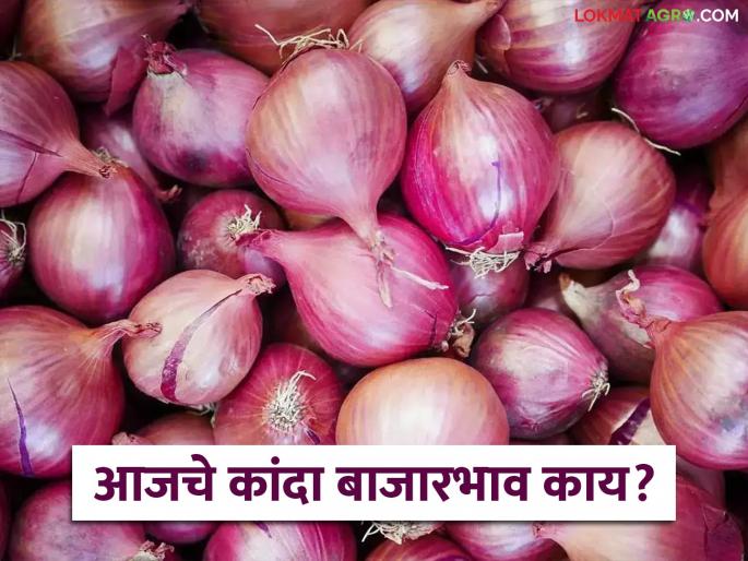 Latest News Kanda Market Red onions arrive in Lasalgaon market see market prices | Kanda Market : लासलगाव मार्केटमध्ये उन्हाळसह लाल कांद्याची आवक, काय भाव मिळाला