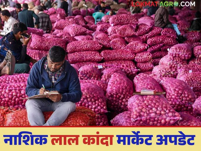 latest news kanda bajarbhav todays nashik and solapur lal kanda market price see details | Lal Kanda Market : सोलापूर बाजारात दर जैसे थे, नाशिक लाल कांदा मार्केट अपडेट काय? वाचा सविस्तर