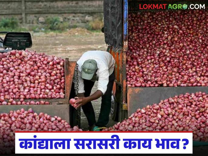 Latest news kanda market where and what prices were obtained for lal onions on December 5th read in detail | Kanda Market : 5 डिसेंबरला उन्हाळ अन् लाल कांद्याला कुठे-काय भाव मिळाला, वाचा सविस्तर Latest news kanda market where and what prices were obtained for lal onions on December 5th read in detail | Kanda Market : 5 डिसेंबरला उन्हाळ अन् लाल कांद्याला कुठे-काय भाव मिळाला, वाचा सविस्तर