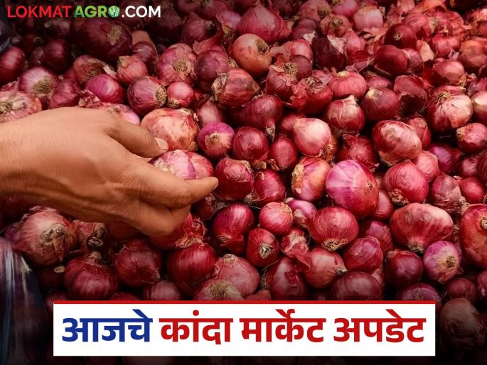 latest news kanda Market See average price of onion today, September 20th, read in detail | Kanda Market : आज 20 सप्टेंबरला कांद्याला सरासरी काय भाव मिळाले, वाचा सविस्तर 