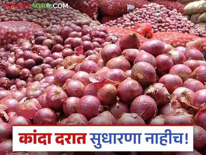 Latest News Lal kanda bajarbhav Price of onion drops by Rs 150 in Lasalgaon market, see details | Kanda Market : लासलगाव बाजारात दीडशे रुपयांची घसरण, वाचा आजचे कांदा बाजारभाव 