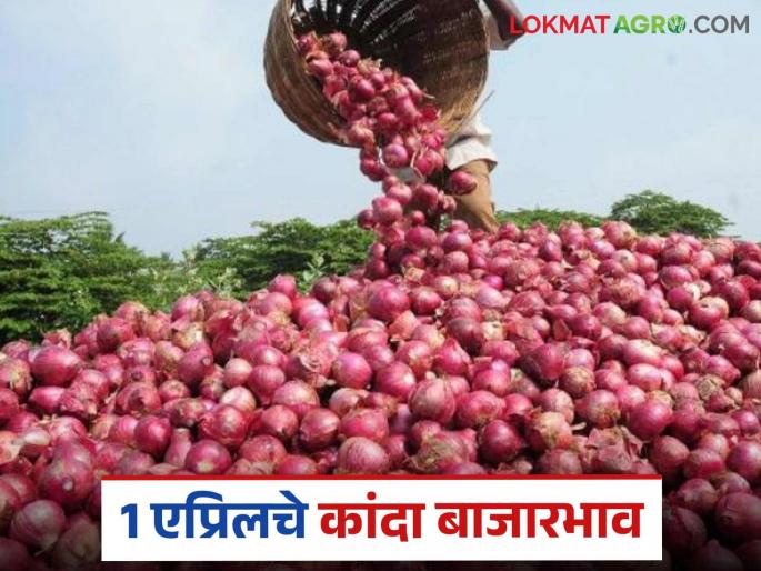 Latest News Kanda bajar bhav Duty on onion export removed from today, see todays kanda market price | Kanda Bajar Bhav : आजपासून कांदा निर्यातीवरील शुल्क हटले, काय मिळतोय दर? Latest News Kanda bajar bhav Duty on onion export removed from today, see todays kanda market price | Kanda Bajar Bhav : आजपासून कांदा निर्यातीवरील शुल्क हटले, काय मिळतोय दर?