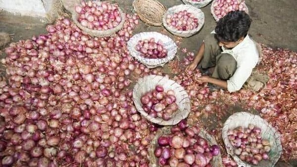 Latest News Farmer beaten up in Nashik's Mungse market yard in malegaon tahsil | Agriculture News : नाशिकच्या मुंगसे बाजार समितीत शेतकऱ्याला मारहाण, नेमकं काय घडलं? Latest News Farmer beaten up in Nashik's Mungse market yard in malegaon tahsil | Agriculture News : नाशिकच्या मुंगसे बाजार समितीत शेतकऱ्याला मारहाण, नेमकं काय घडलं?