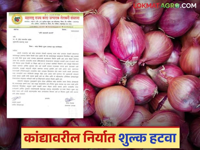 Latest News Kanda Niryat Shulk make export duty on onions zero, read in detail | Kanda Niryat Shulk : शेतकऱ्यांच्या डोळ्यांत पाणी, कांद्यावरील निर्यातशुल्क शून्य करा, वाचा सविस्तर  Latest News Kanda Niryat Shulk make export duty on onions zero, read in detail | Kanda Niryat Shulk : शेतकऱ्यांच्या डोळ्यांत पाणी, कांद्यावरील निर्यातशुल्क शून्य करा, वाचा सविस्तर