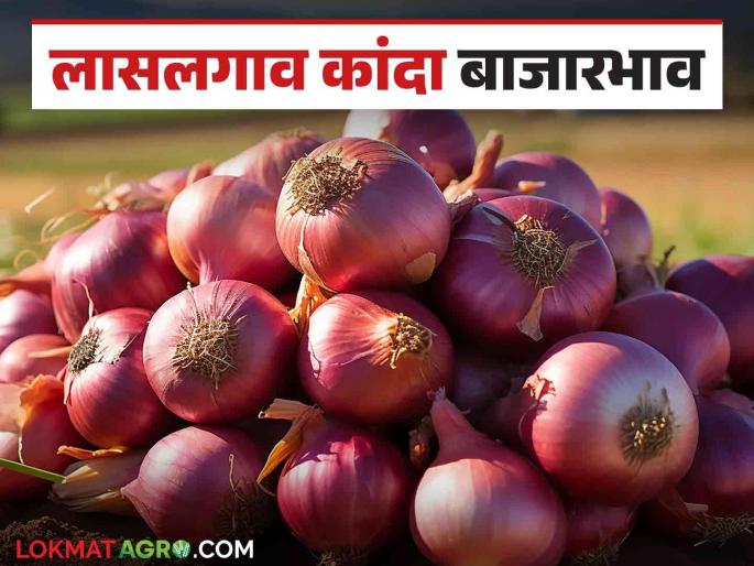 Latest News Kanda Market In Nashik district red onion price is lower than summer onion, see Details | Kanda Market : नाशिक जिल्ह्यात लाल कांद्याला उन्हाळ कांद्यापेक्षा कमी भाव, वाचा आजचे बाजारभाव Latest News Kanda Market In Nashik district red onion price is lower than summer onion, see Details | Kanda Market : नाशिक जिल्ह्यात लाल कांद्याला उन्हाळ कांद्यापेक्षा कमी भाव, वाचा आजचे बाजारभाव