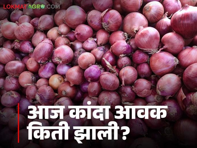 Latest News Kanda Market Update Onion market prices continue to down, see todays kanda bajarbhav | Kanda Market Update : कांदा बाजारभावात घसरण सुरूच, वाचा राज्यातील आजचे बाजारभाव