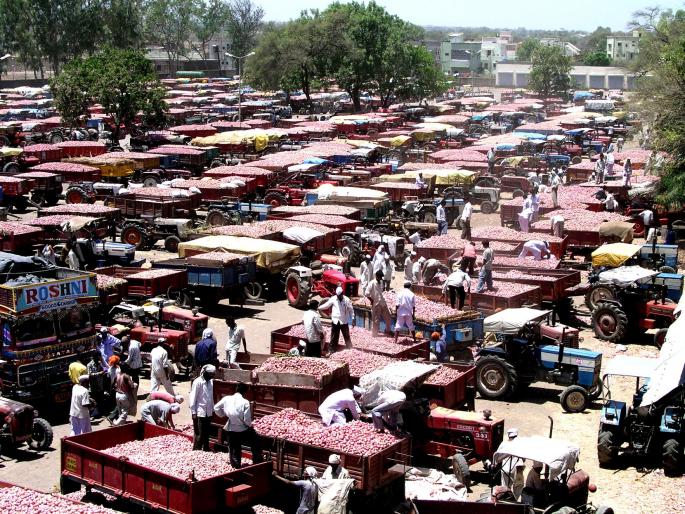 Red onion decreases | लाल कांद्याची घटली Red onion decreases | लाल कांद्याची घटली