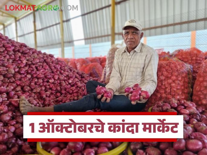 Latest News kanda Market see Onion Prices on eve of Dasara,1 october kanda market | Kanda Market : दसऱ्याच्या पूर्वसंध्येला कांद्याला काय भाव मिळाला, वाचा आजचे बाजारभाव 