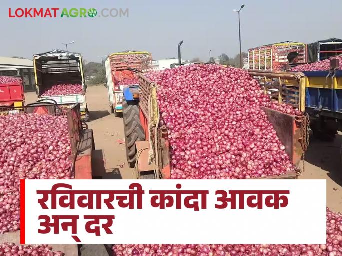 Latest news Kanda Market price of onion in Pune, Solapur, Ahilyanagar markets Read in detail | Kanda Market : पुणे, सोलापूर, अहिल्यानगर बाजारात कांद्याला सरासरी काय भाव मिळाला? वाचा सविस्तर 