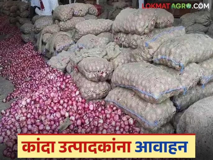 Latest News Don't sell to rameshwer khasgi onion market nashik Farmers' lakhs of rupees stuck | Kanda Market : 'या' खासगी कांदा मार्केटला विक्री करू नका! शेतकऱ्यांचे लाखो रुपये अडकवले! Latest News Don't sell to rameshwer khasgi onion market nashik Farmers' lakhs of rupees stuck | Kanda Market : 'या' खासगी कांदा मार्केटला विक्री करू नका! शेतकऱ्यांचे लाखो रुपये अडकवले!