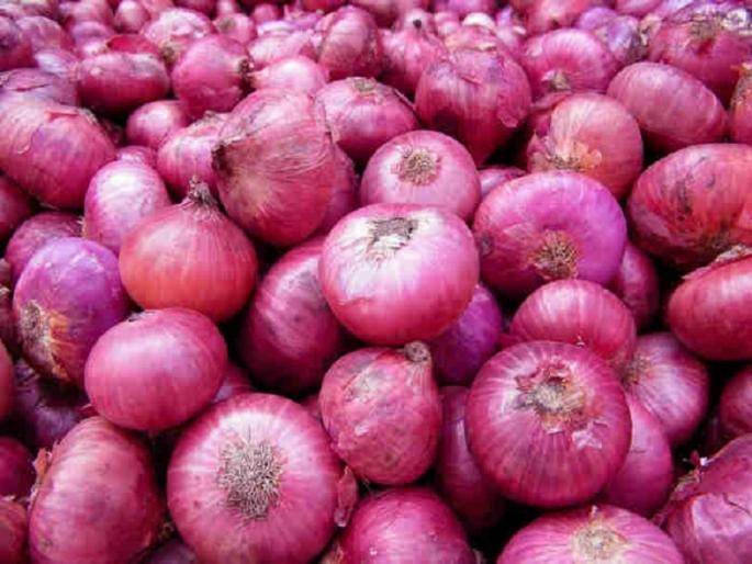 due to unusual rain price hike in onion | अवकाळी पावसामुळे कांद्याला आला 'भाव' ; दाेन वर्षातील उच्चांकी दराने विक्री due to unusual rain price hike in onion | अवकाळी पावसामुळे कांद्याला आला 'भाव' ; दाेन वर्षातील उच्चांकी दराने विक्री