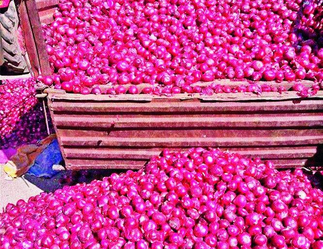 Lasalgaon onion increased inward | लासलगावला कांद्याची आवक वाढली Lasalgaon onion increased inward | लासलगावला कांद्याची आवक वाढली