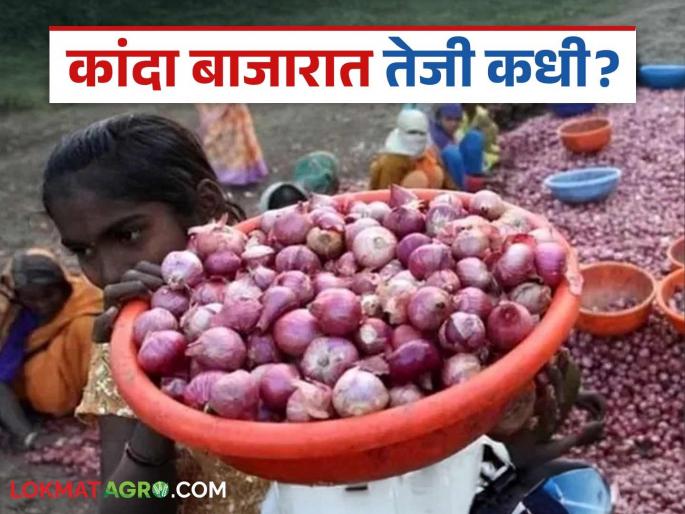 Latest news kanda niryat market Onion exports resume, no price hike in onion market | Kanda Market : कांदा निर्यात सुरू झाली तरीही बाजारात अपेक्षित दरवाढ नाही; शेतकरी चिंतेत 