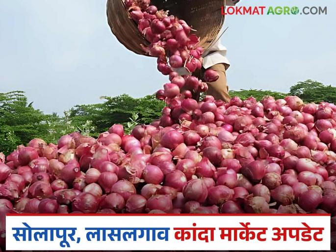 Latest news Kanda bajar bhav lal onion getting better price in Solapur market than Lasalgaon Read in detail | Kanda Bajar Bhav : लासलगावपेक्षा सोलापूर बाजारात लाल कांद्याला कसा मिळतोय दर? वाचा सविस्तर  Latest news Kanda bajar bhav lal onion getting better price in Solapur market than Lasalgaon Read in detail | Kanda Bajar Bhav : लासलगावपेक्षा सोलापूर बाजारात लाल कांद्याला कसा मिळतोय दर? वाचा सविस्तर