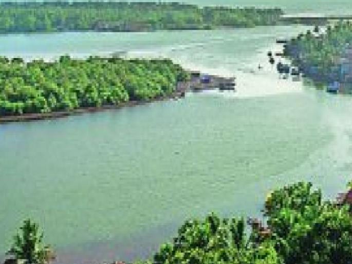 Kandalvan project will provide employment to Deoli villagers, give a big boost to fish farming business | कांदळवन प्रकल्पातून देवली ग्रामस्थांना रोजगाराची दिशा, मत्स्यपालन व्यवसायाला मोठी चालना