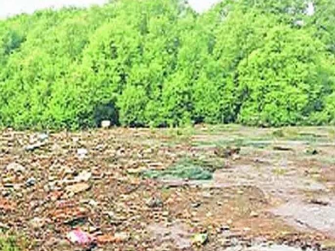 Encroachments in the green belt of Kandal forests in Konkan will be prevented | कोकणातील कांदळवनांच्या हिरव्या पट्ट्यातील अतिक्रमणे रोखणार Encroachments in the green belt of Kandal forests in Konkan will be prevented | कोकणातील कांदळवनांच्या हिरव्या पट्ट्यातील अतिक्रमणे रोखणार